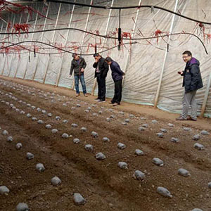 贵州大棚吊喷、温室微喷灌溉技术的使用和管理