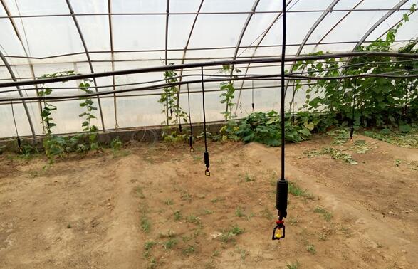 温室大棚微贵州喷灌技术-大棚蔬菜灌溉设备